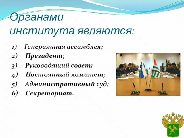 Органами института являются: 1) Генеральная ассамблея; 2) Президент; 3) Руководящий совет; 4)