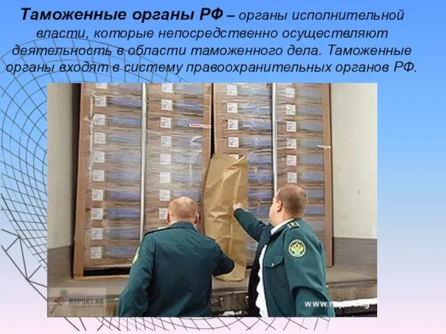 Таможенные органы РФ – органы исполнительной власти, которые непосредственно осуществляют деятельность в