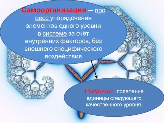 Самоорганизация — процесс упорядочения элементов одного уровня в системе за счёт внутренних