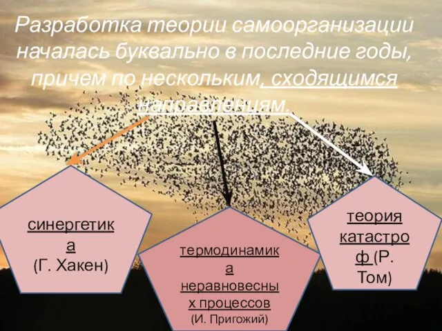 Разработка теории самоорганизации началась буквально в последние годы, причем по нескольким, сходящимся