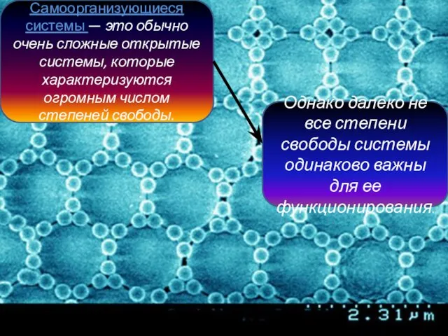 Самоорганизующиеся системы — это обычно очень сложные открытые системы, которые характеризуются огромным