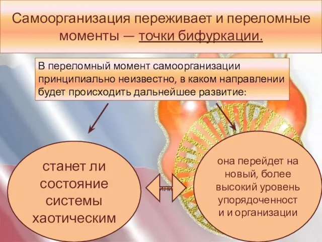 Самоорганизация переживает и переломные моменты — точки бифуркации. В переломный момент самоорганизации