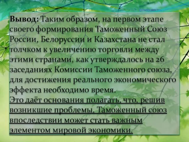 Вывод: Таким образом, на первом этапе своего формирования Таможенный Союз России, Белоруссии