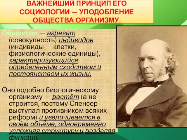 ВАЖНЕЙШИЙ ПРИНЦИП ЕГО СОЦИОЛОГИИ — УПОДОБЛЕНИЕ ОБЩЕСТВА ОРГАНИЗМУ. Общество — агрегат (совокупность)