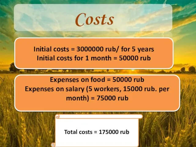 Costs Initial costs = 3000000 rub/ for 5 years Initial costs for