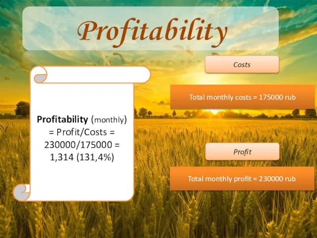 Profitability Profitability (monthly) = Profit/Costs = 230000/175000 = 1,314 (131,4%) Costs Total