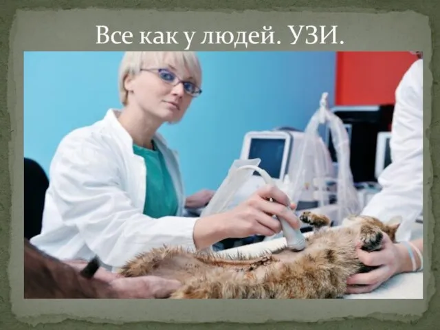 Все как у людей. УЗИ.