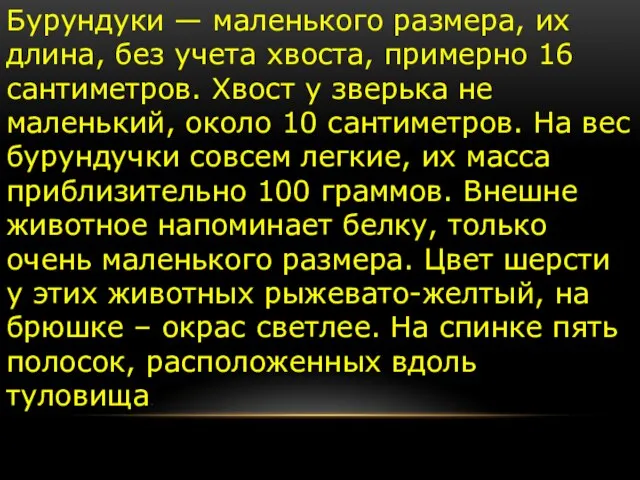 Бурундуки — маленького размера, их длина, без учета хвоста, примерно 16 сантиметров.