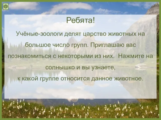 Ребята! Учёные-зоологи делят царство животных на большое число групп. Приглашаю вас познакомиться