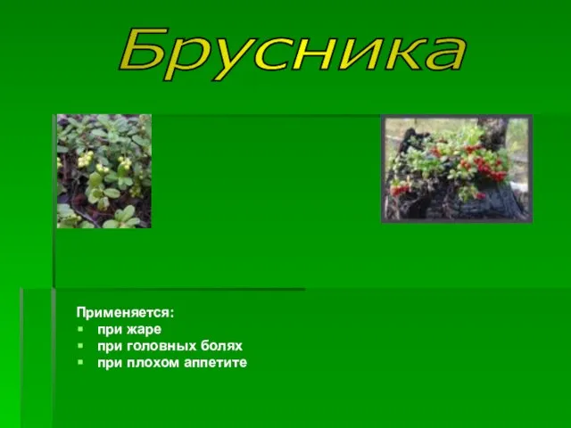 Применяется: при жаре при головных болях при плохом аппетите Брусника