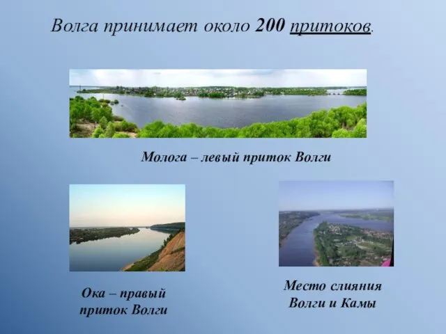 Волга принимает около 200 притоков. Молога – левый приток Волги Ока –