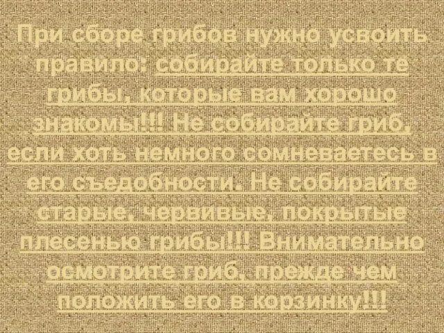 При сборе грибов нужно усвоить правило: собирайте только те грибы, которые вам