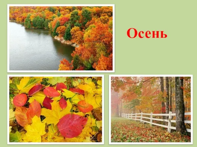 Осень