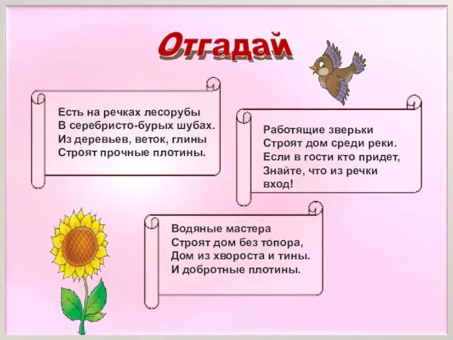 Есть на речках лесорубы В серебристо-бурых шубах. Из деревьев, веток, глины Строят