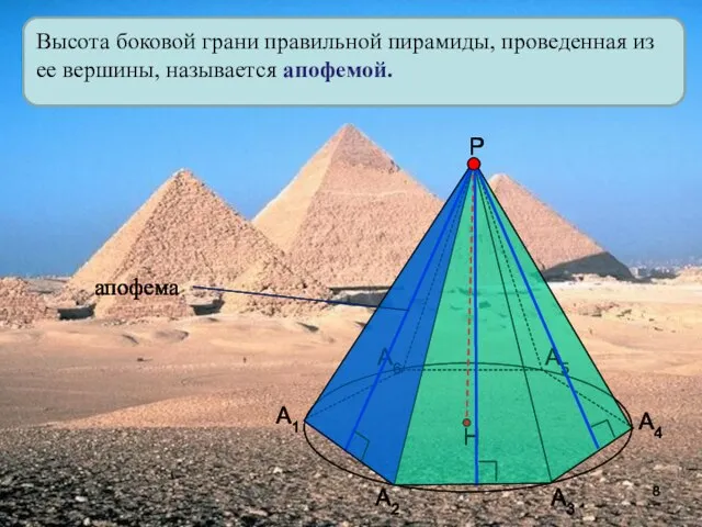 Высота боковой грани правильной пирамиды, проведенная из ее вершины, называется апофемой. А1