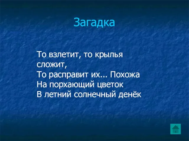 Загадка То взлетит, то крылья сложит, То расправит их... Похожа На порхающий