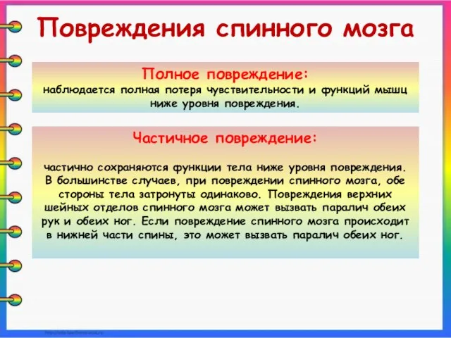 Повреждения спинного мозга Полное повреждение: наблюдается полная потеря чувствительности и функций мышц