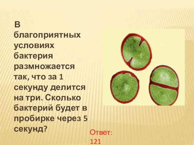 В благоприятных условиях бактерия размножается так, что за 1 секунду делится на