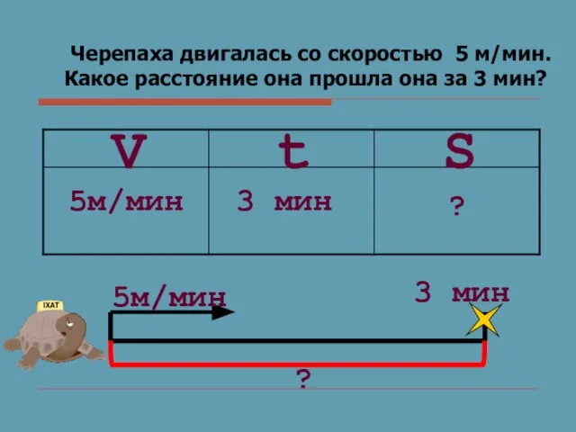 Черепаха двигалась со скоростью 5 м/мин. Какое расстояние она прошла она за