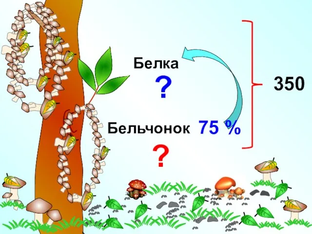 Белка Бельчонок