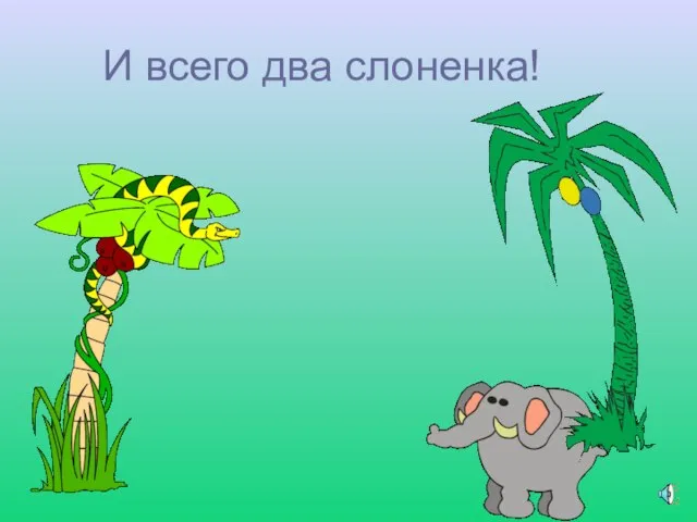 И всего два слоненка!