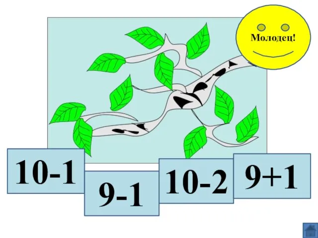 10-1 9-1 10-2 9+1 Молодец!