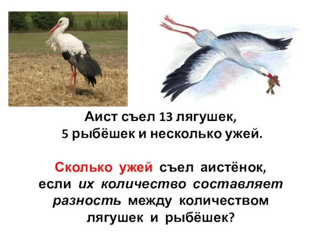 Аист съел 13 лягушек, 5 рыбёшек и несколько ужей. Сколько ужей съел