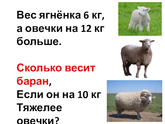 Вес ягнёнка 6 кг, а овечки на 12 кг больше. Сколько весит