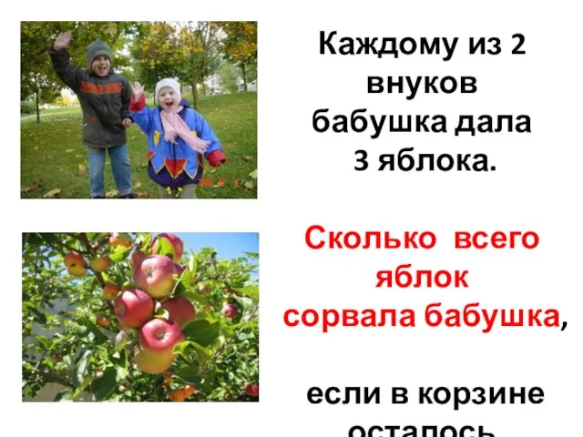 Каждому из 2 внуков бабушка дала 3 яблока. Сколько всего яблок сорвала