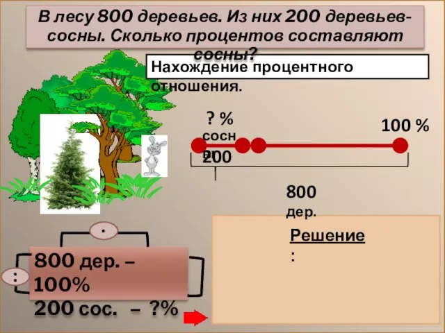 Нахождение процентного отношения. 800 дер. – 100% 200 сос. – ?% 200