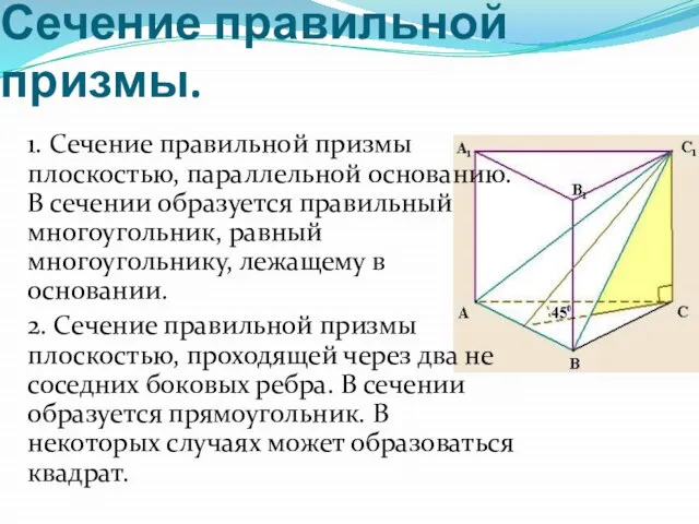 Сечение правильной призмы. 1. Сечение правильной призмы плоскостью, параллельной основанию. В сечении