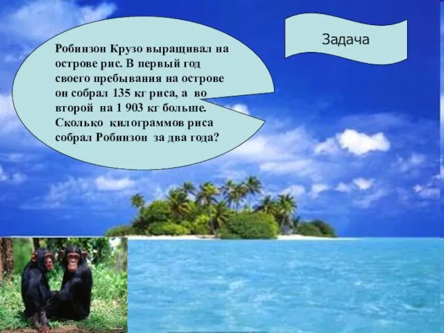 Задача Робинзон Крузо выращивал на острове рис. В первый год своего пребывания