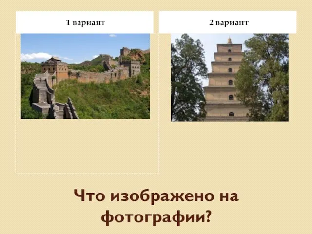 Что изображено на фотографии? 1 вариант 2 вариант