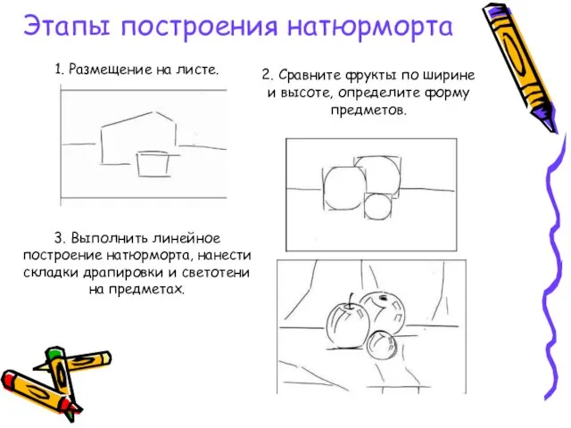 1. Размещение на листе. 2. Сравните фрукты по ширине и высоте, определите