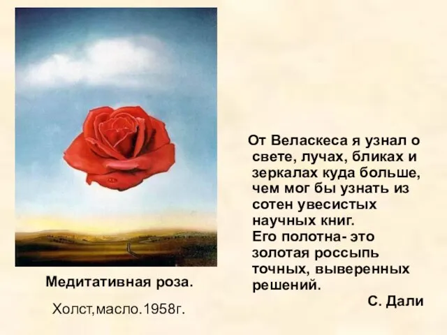 Медитативная роза. Холст,масло.1958г. От Веласкеса я узнал о свете, лучах, бликах и