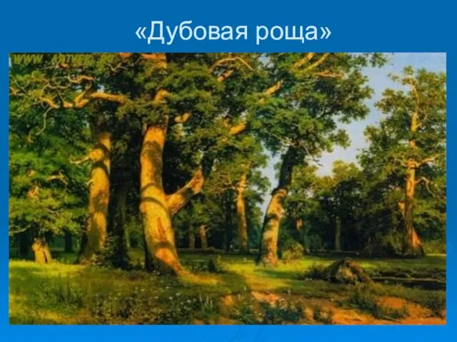 «Дубовая роща»