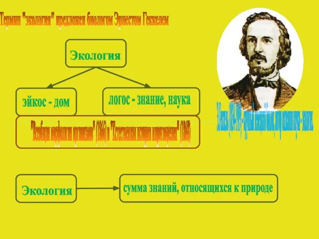 Термин "экология" предложен биологом Эрнестом Геккелем Э.Геккель (1834-1919) - крупный немецкий биолог,