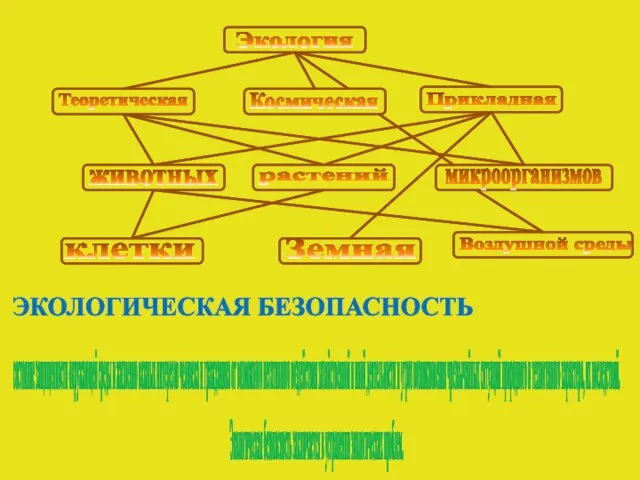 Экология Теоретическая животных растений микроорганизмов Прикладная Земная Космическая клетки Воздушной среды состояние