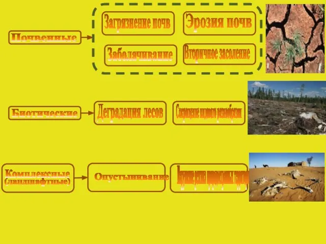Почвенные Загрязнение почв Эрозия почв Заболачивание Вторичное засоление Биотические Деградация лесов Сокращение