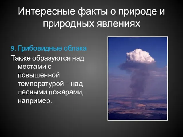 Интересные факты о природе и природных явлениях 9. Грибовидные облака Также образуются