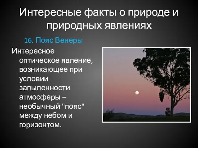 Интересные факты о природе и природных явлениях 16. Пояс Венеры Интересное оптическое