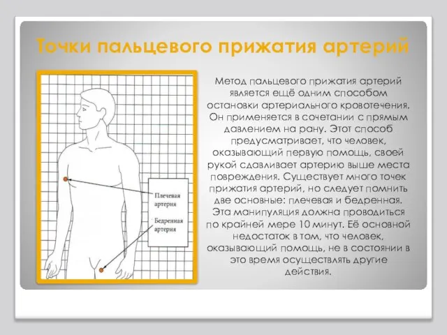 Точки пальцевого прижатия артерий Метод пальцевого прижатия артерий является ещё одним способом