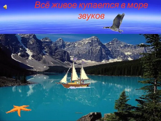 Всё живое купается в море звуков