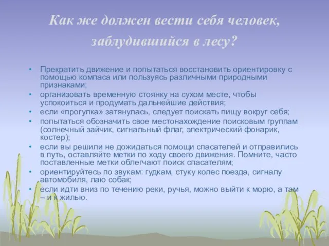 Как же должен вести себя человек, заблудившийся в лесу? Прекратить движение и