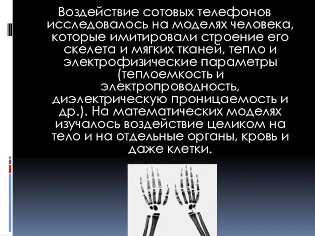 Воздействие сотовых телефонов исследовалось на моделях человека, которые имитировали строение его скелета