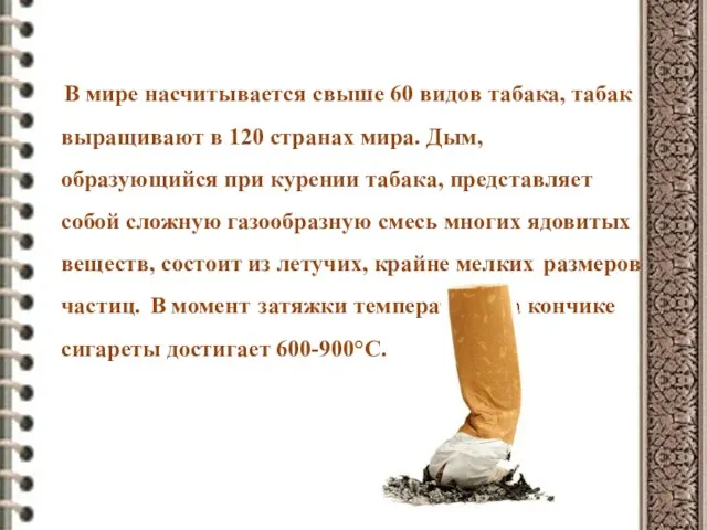 В мире насчитывается свыше 60 видов табака, табак выращивают в 120 странах
