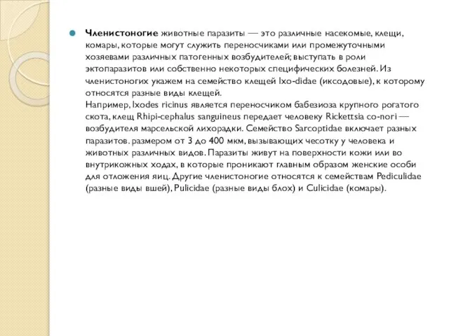 Членистоногие животные паразиты — это различные насекомые, клещи, комары, которые могут служить