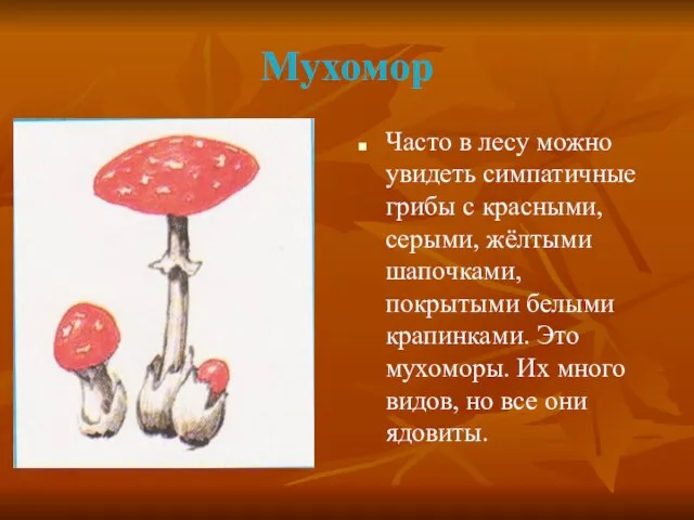 Мухомор Часто в лесу можно увидеть симпатичные грибы с красными, серыми, жёлтыми