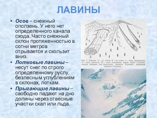 ЛАВИНЫ Осов – снежный оползень. У него нет определенного канала схода. Часто