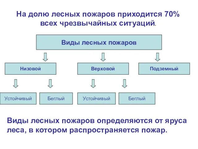 Виды лесных пожаров определяются от яруса леса, в котором распространяется пожар. Виды